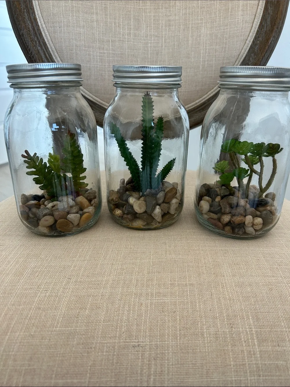 (3) Faux Succulent Glass Mason Jar
